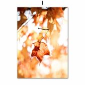 Daedalus Designs - Autumn Pine Forest Castle Gallery Wall Canvas Art - Review