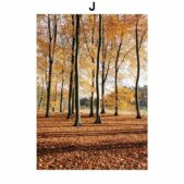 Daedalus Designs - Maple Forest Gallery Wall Canvas Art - Review