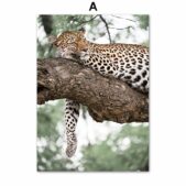 Daedalus Designs - Amazon Jungle Gallery Wall Canvas Art - Review