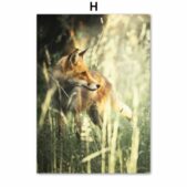 Daedalus Designs - Hakuna Matata Forest Gallery Wall Canvas Art - Review