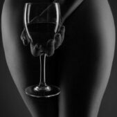 Daedalus Designs - Nude Girl with Wine Glass Canvas Art - Review
