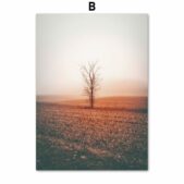 Daedalus Designs - Morocco Natural Sunset Tree Gallery Wall Canvas Art - Review
