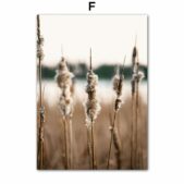 Daedalus Designs - Mountain Lake Forest Canvas Art - Review