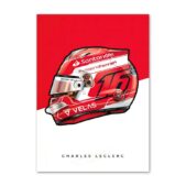 Daedalus Designs - Formula 1 Racing Helmet Canvas Art - Review