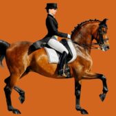 Daedalus Designs - Royal Horse Canvas Art - Review