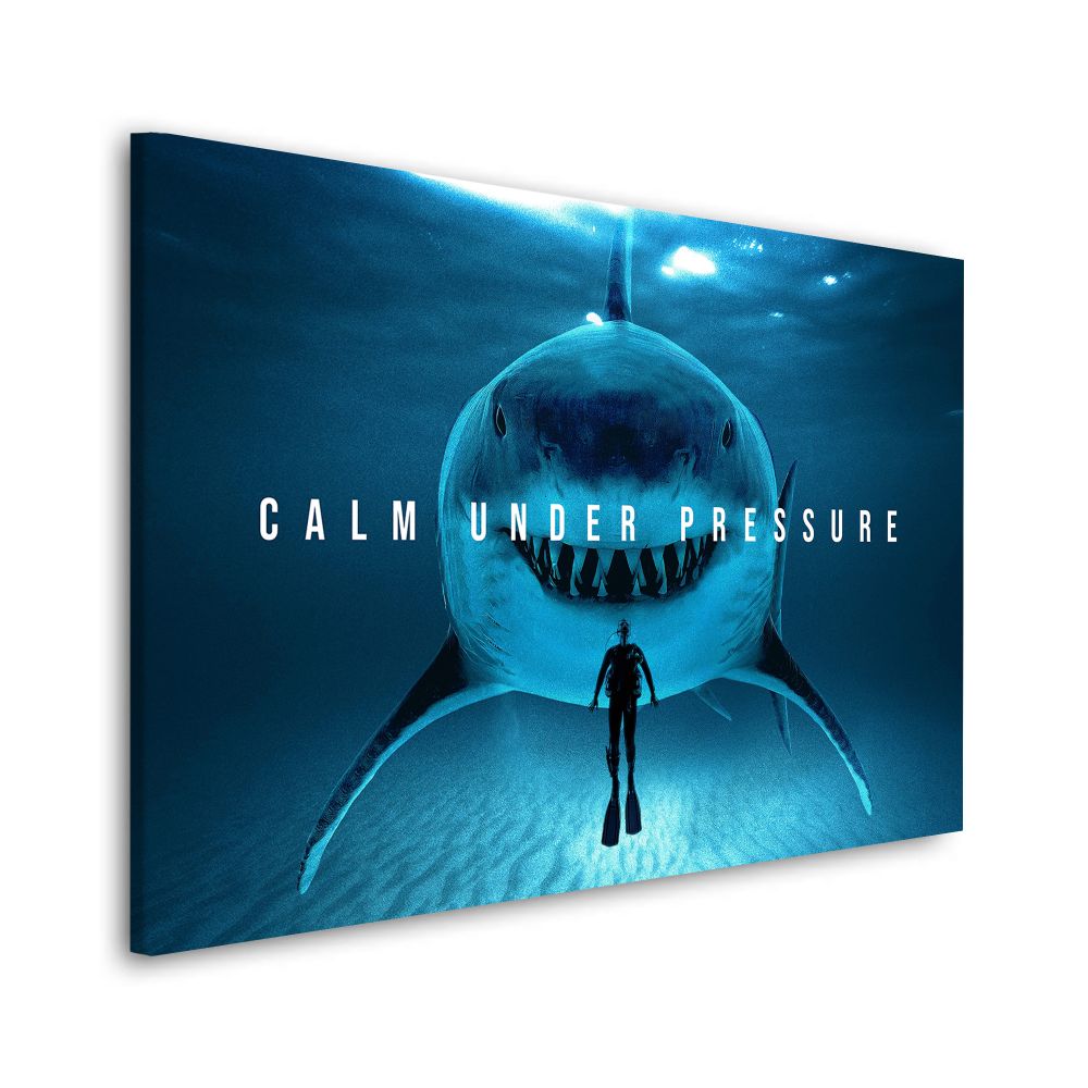 Daedalus Designs - Calm Under Pressure Wall Art - Review
