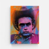 Daedalus Designs - James Dean Bright Colors Framed Canvas Wall Art - Review