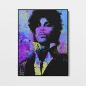 Daedalus Designs - Prince Portrait Circles Graffiti Framed Canvas Wall Art - Review