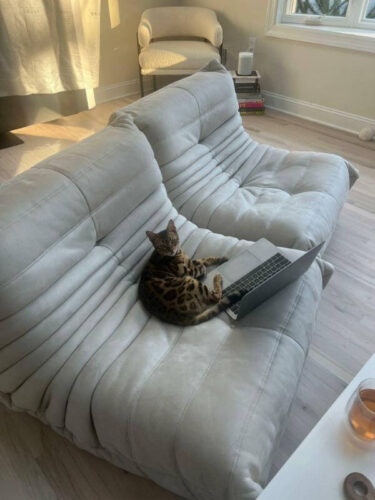 Togo Sofa - Customer Review Image