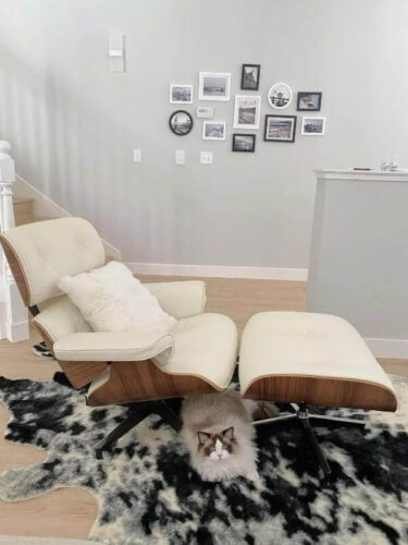 Eames Lounge Chair - Customer Review Image