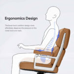 Side-view diagram of a person seated in the Light Brown Eames Executive Office Chair, with the seat and back contact points highlighted.