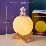Astronaut Humidifier