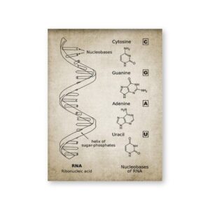 DNA and RNA Genetic Code Canvas Art - Image 6