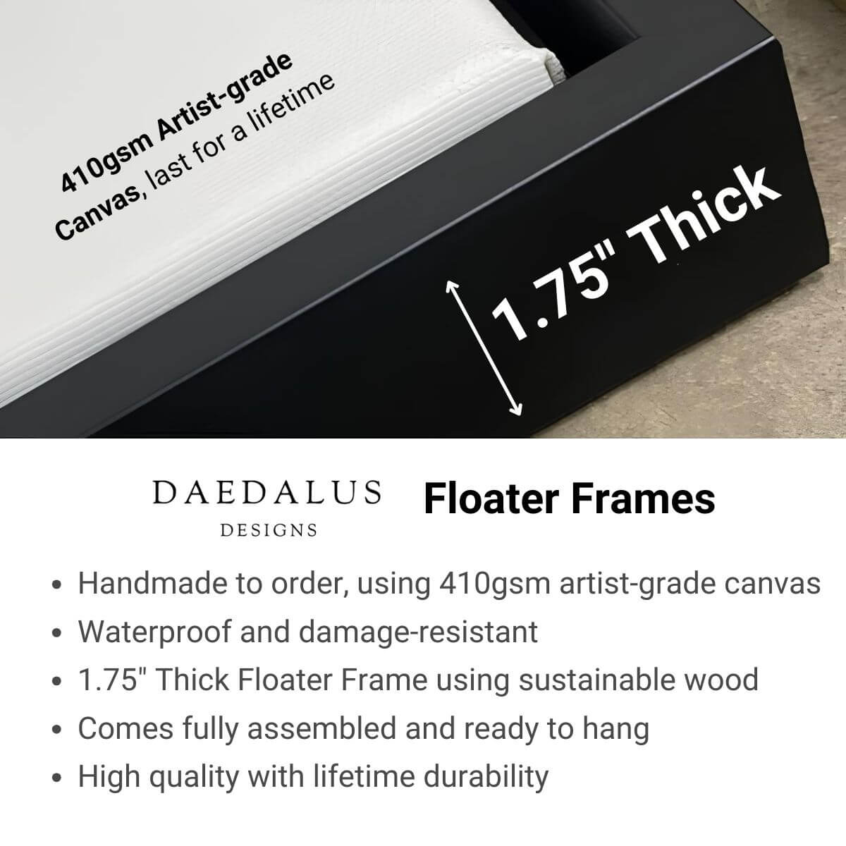 Daedalus Designs Floater Frame Details
