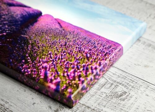 Daedalus Designs Eco-Friendly, High Resolution Print, Damage Resistant Canvas Art