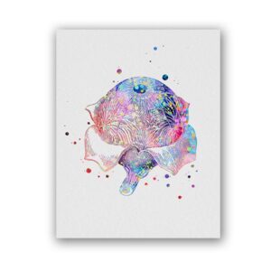 Eye Anatomy Canvas Art - Image 5