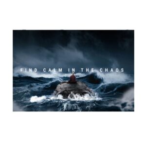Find Calm In The Chaos Canvas Art - Image 1