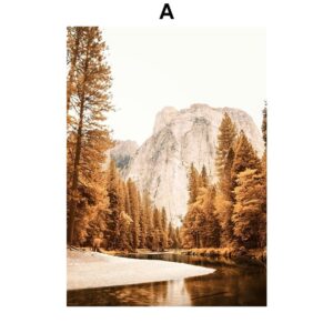 Maple Forest Gallery Wall Canvas Art - Image 6