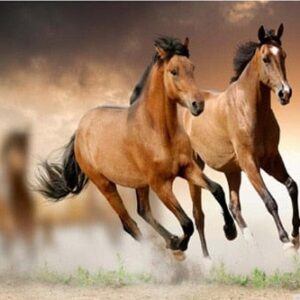 Marching Horses Canvas Art - Image 8