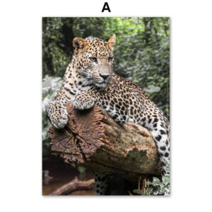 Mother Nature Gallery Wall Canvas Art - Image 5