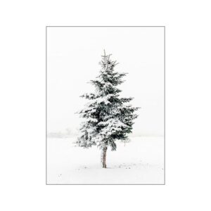 Nature Scenery Canvas Art - Image 1