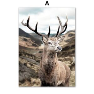 Northern Lake Mountain Wilderness Canvas Art - Image 5
