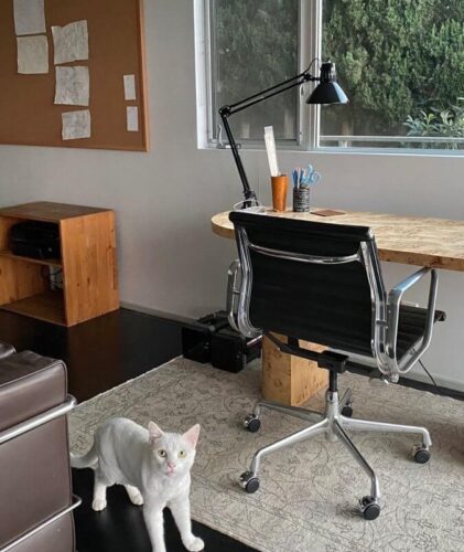 Eames Aluminum Group Office Chair | Top Grain Leather photo review